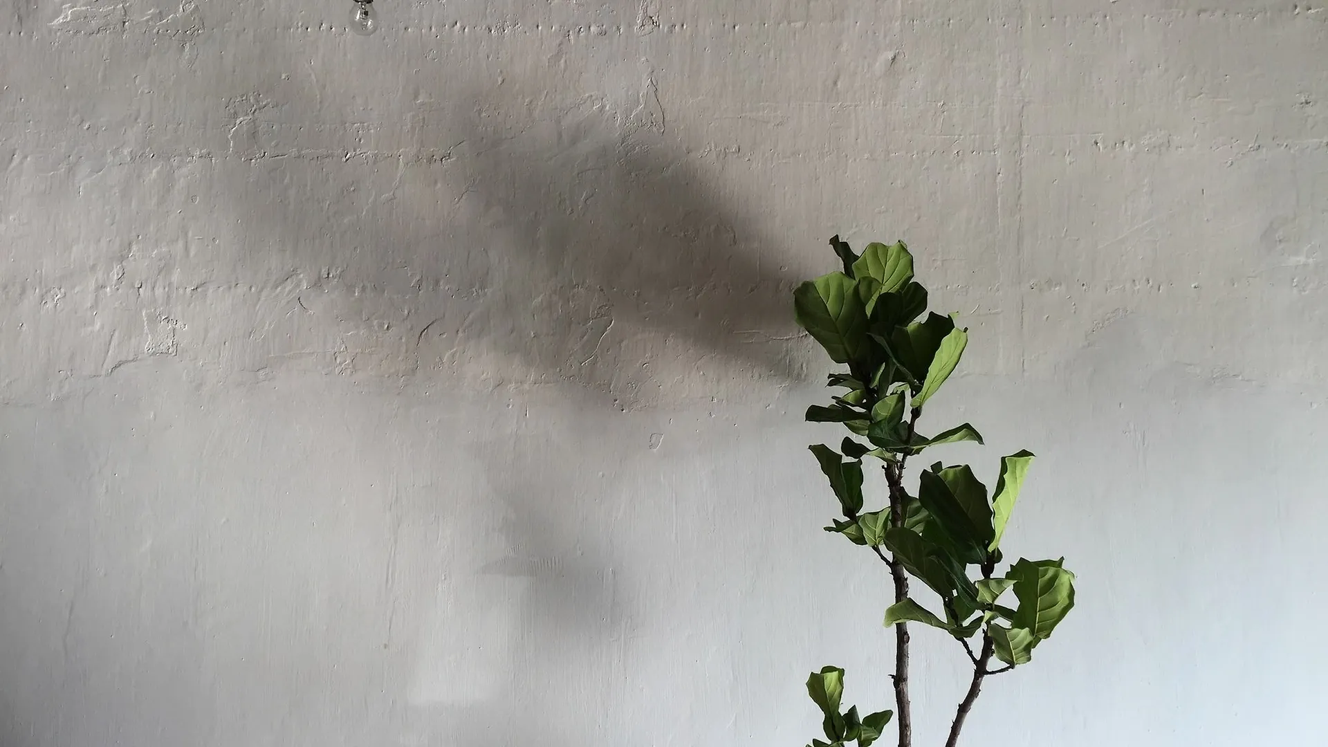 Gasthof The Frame Guesthouse George Town